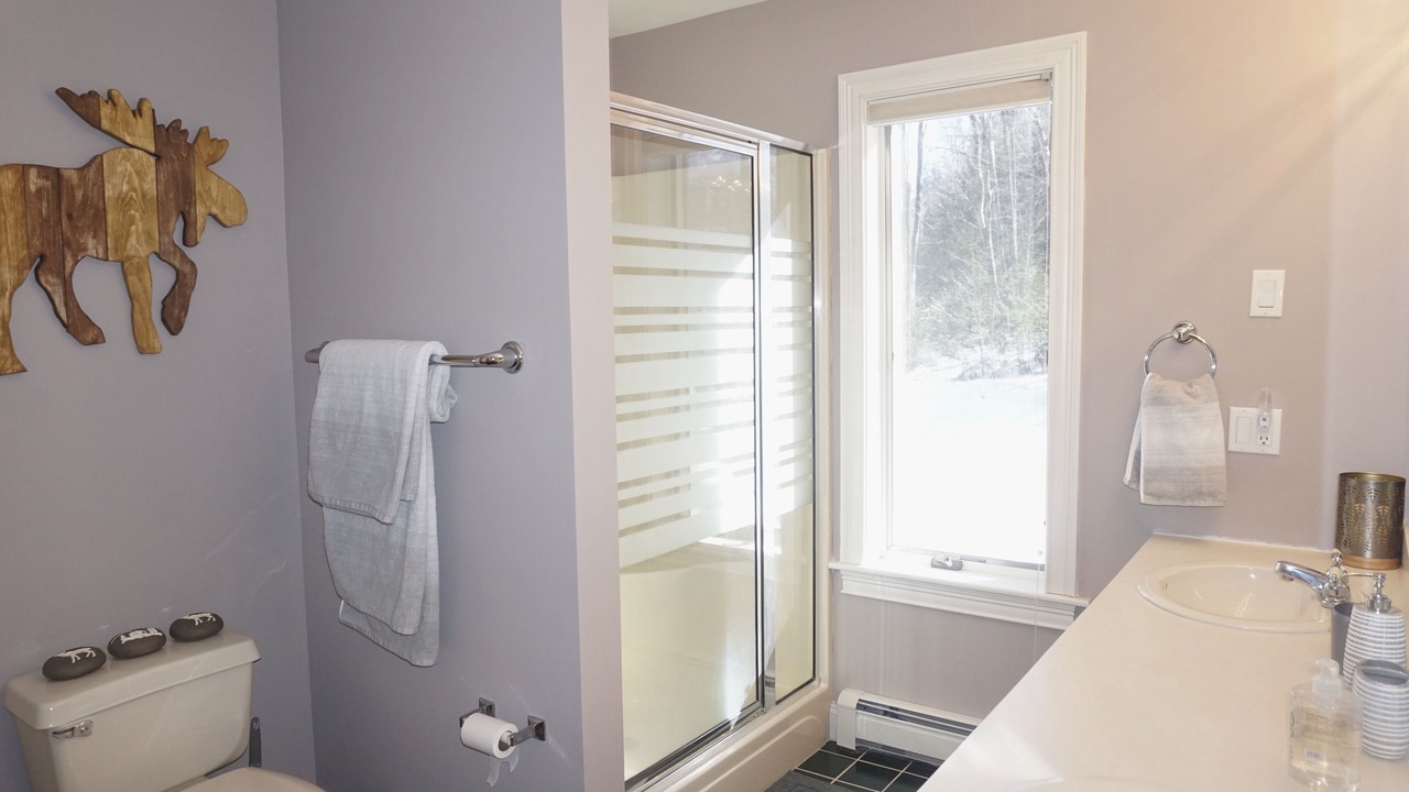 Photo of Bathroom in Bartlett