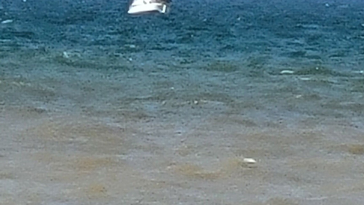 Photo of Others in North East