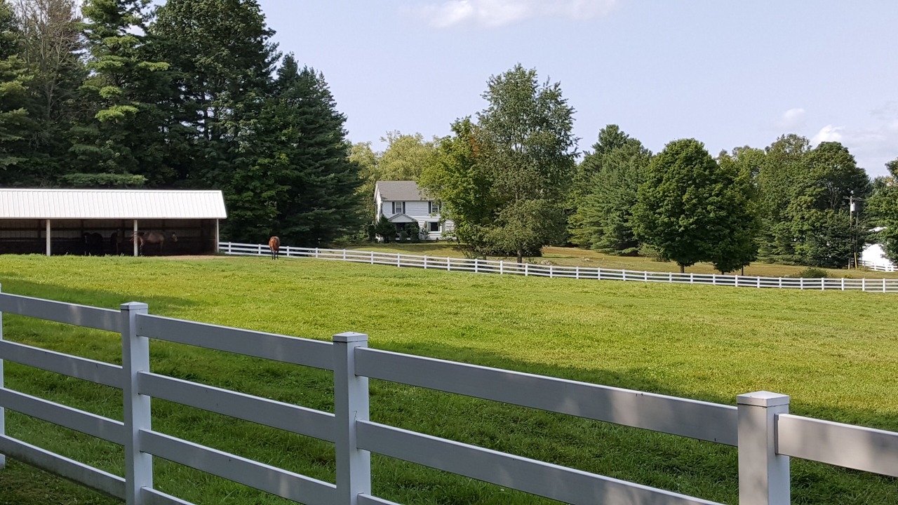 Photo of Outdoor in Chestertown