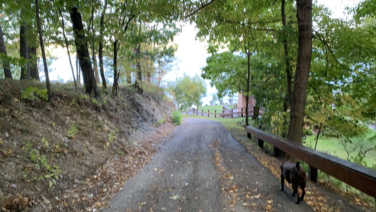 Photo of Outdoor in Valois