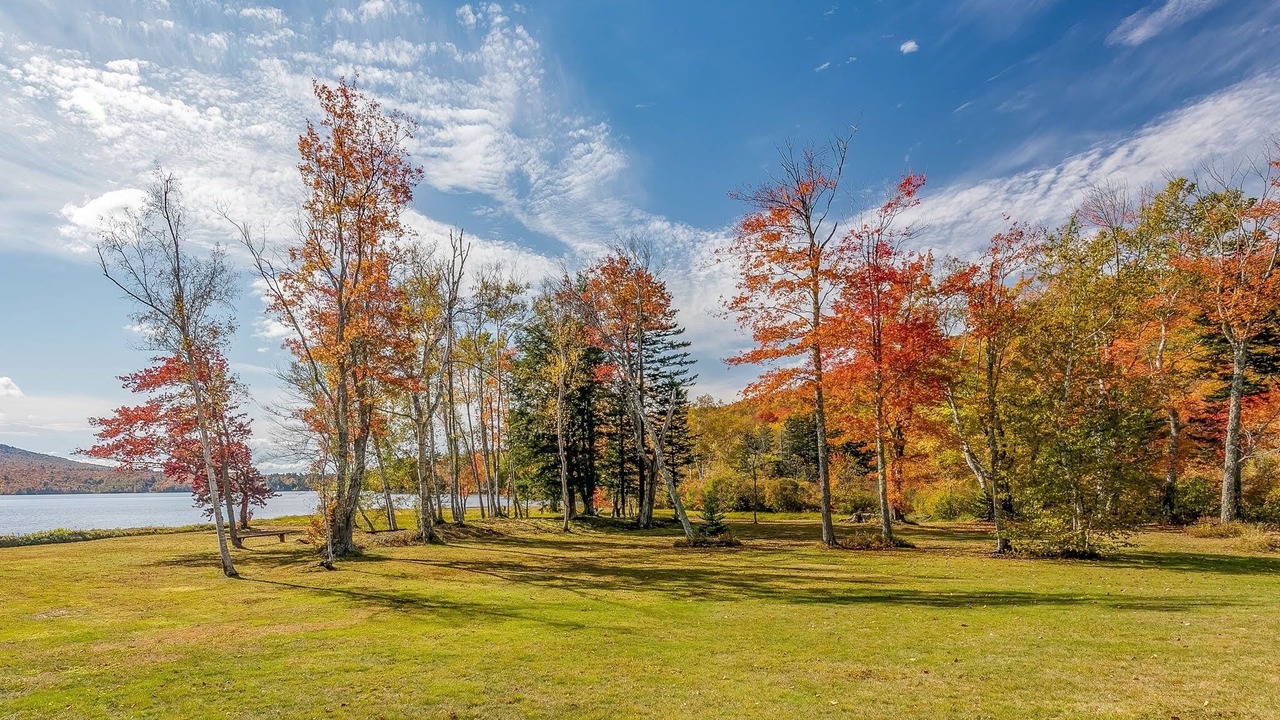 Photo of Outdoor in Rumney