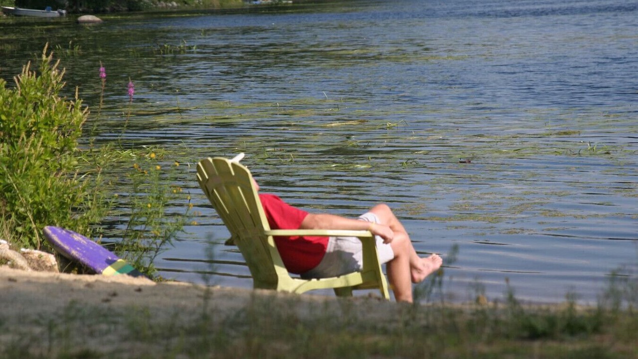 Photo of Others in Northwood