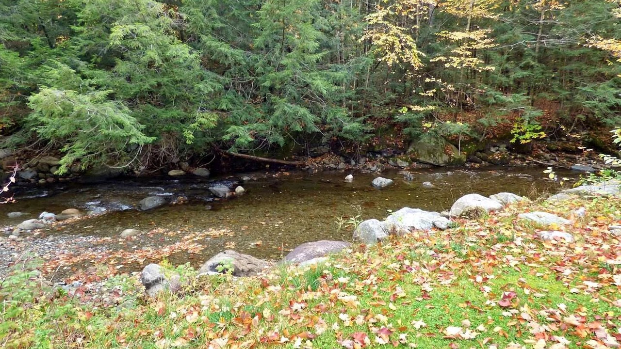 Photo of Outdoor in Jay