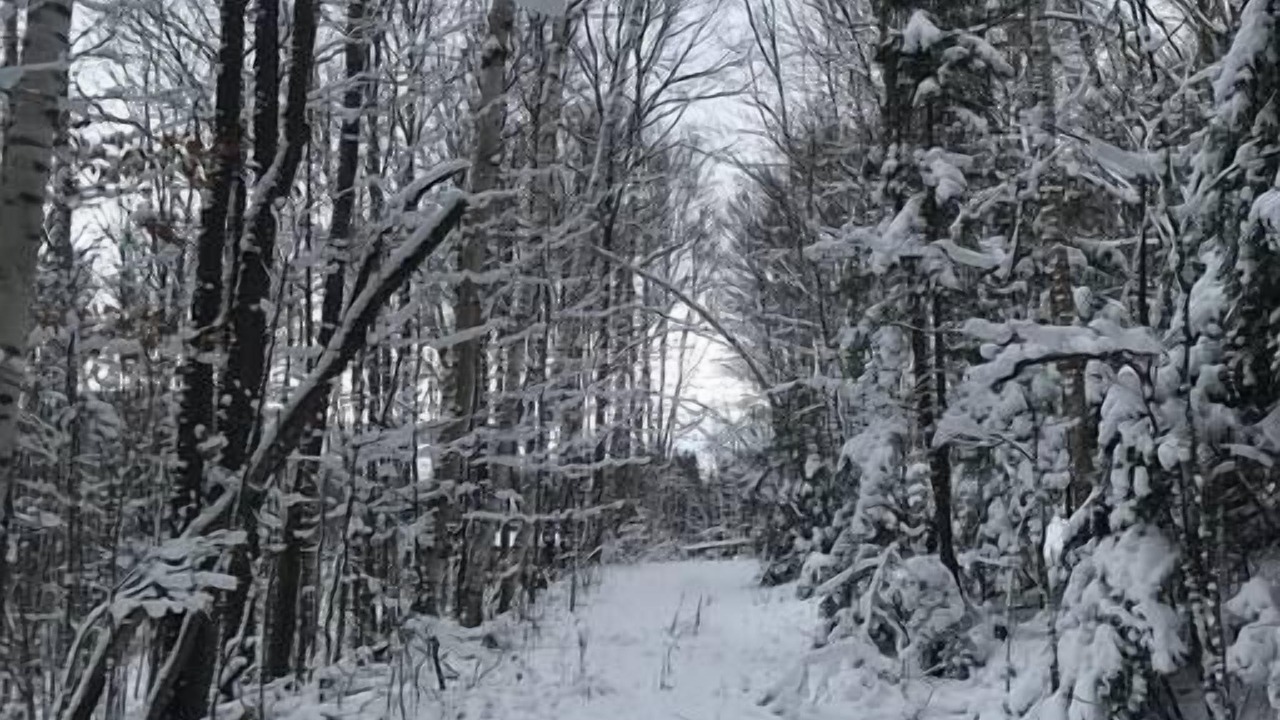 Photo of Others in Warren