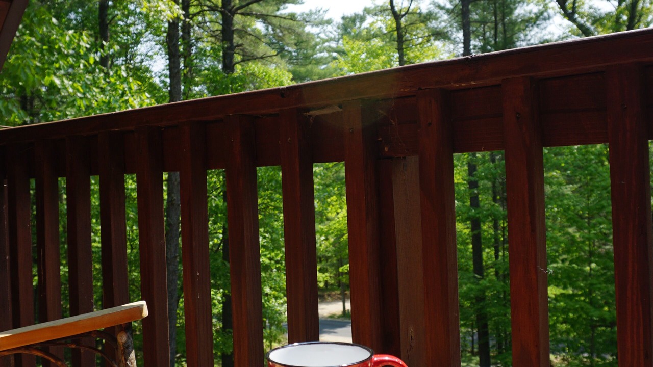 Photo of Patio Balcony in Jay