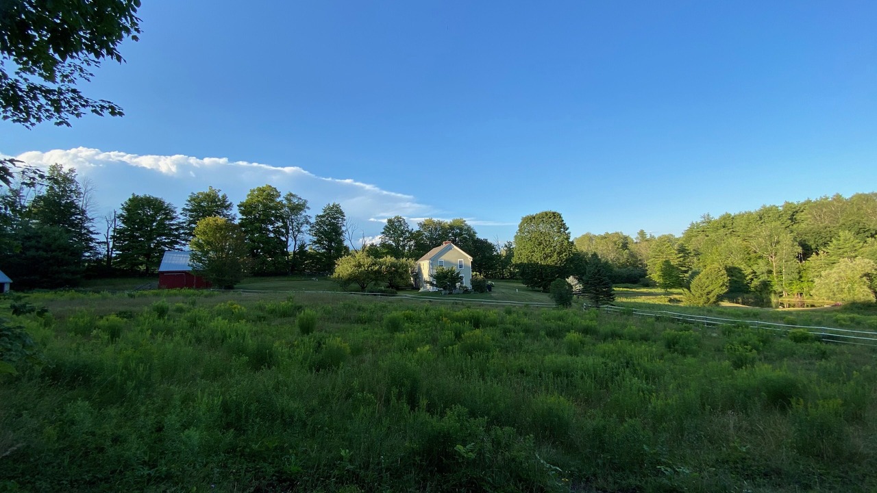 Photo of Outdoor in Windsor