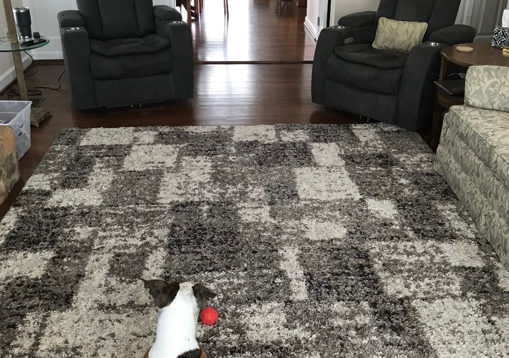 Photo of Bedroom in Northeast Raleigh