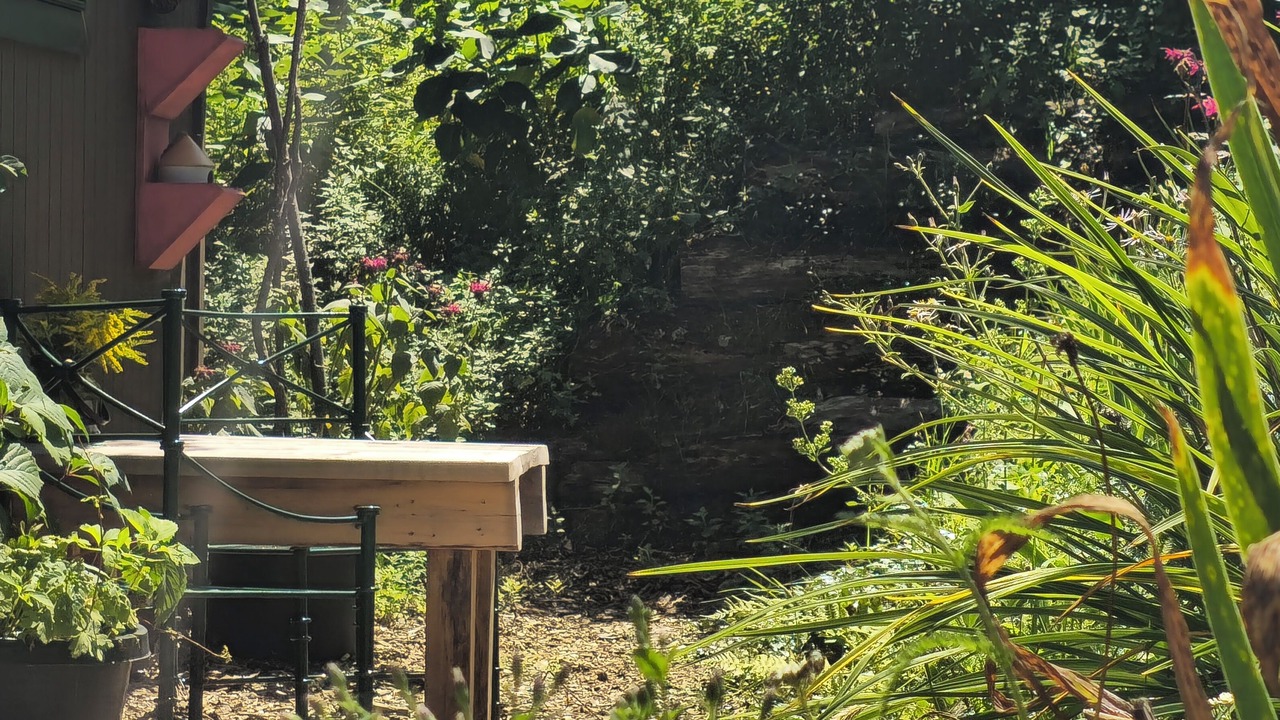Photo of Outdoor in North Creek