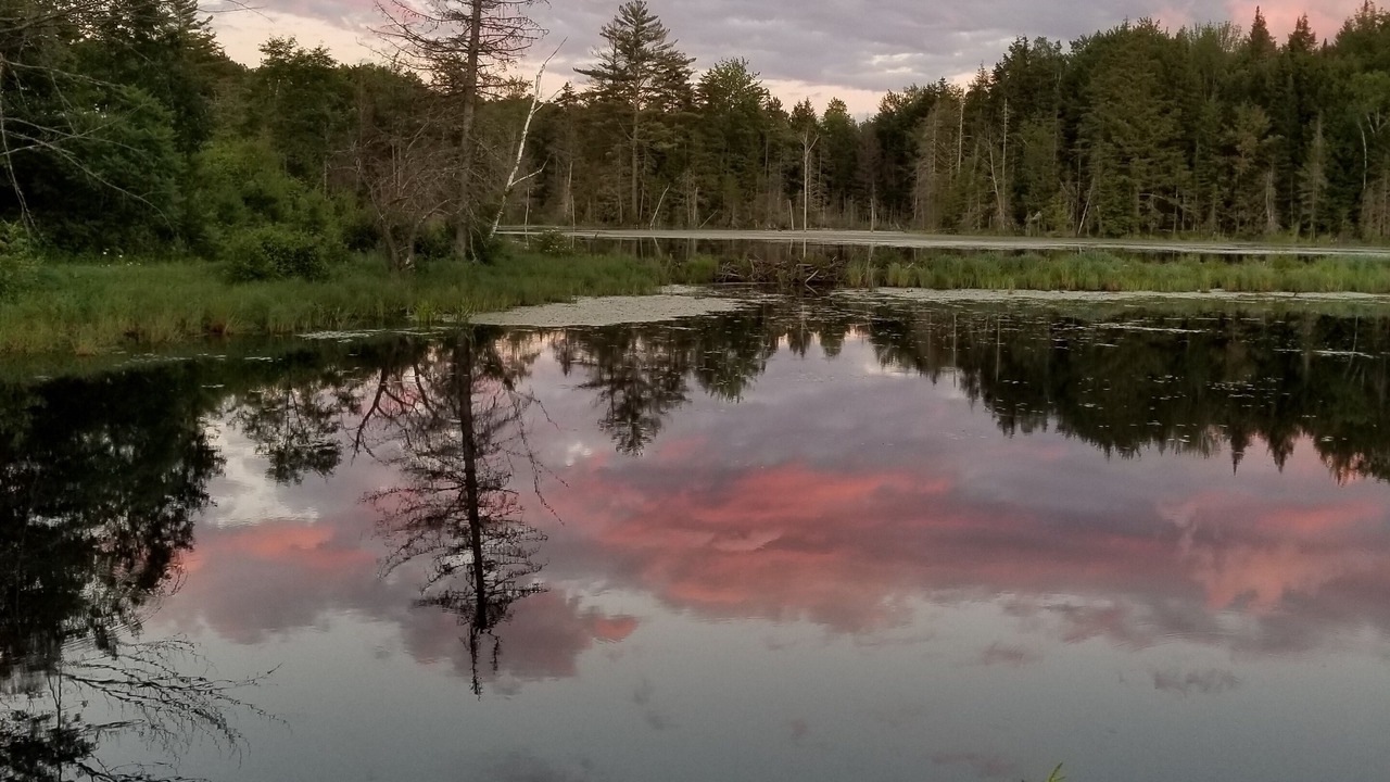 Photo of Others in North Creek