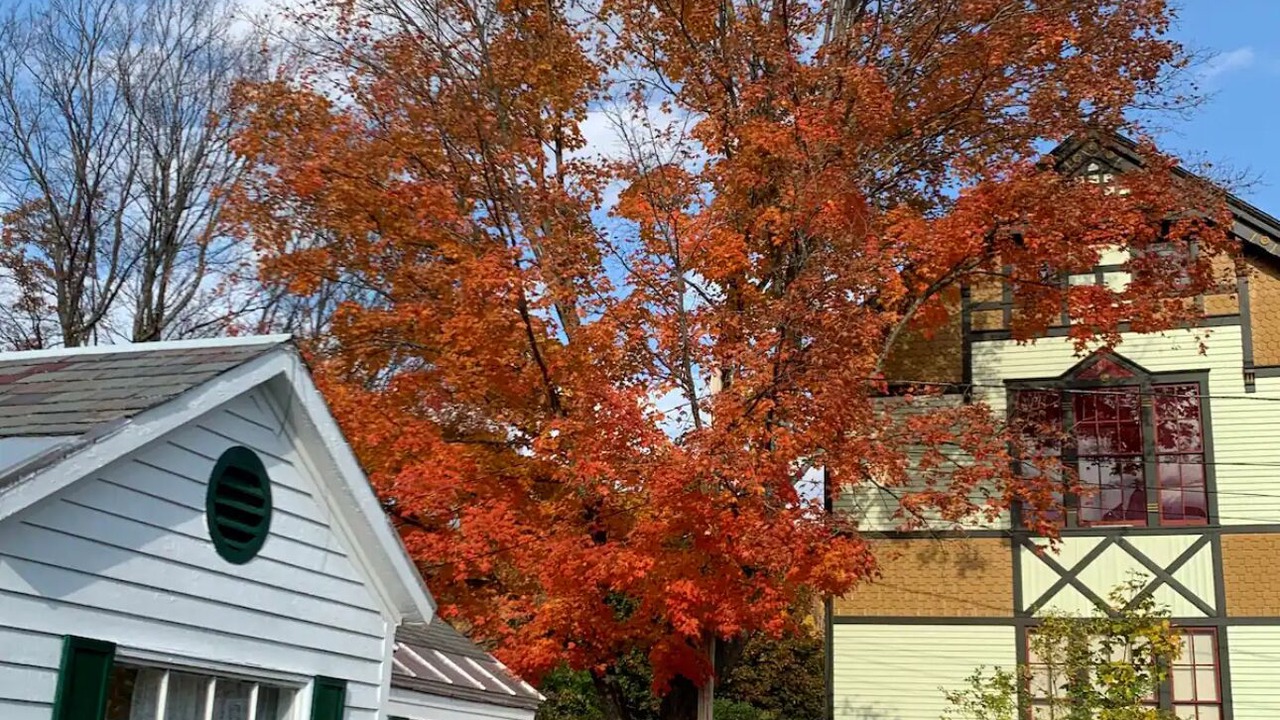 Photo of Outdoor in Poultney
