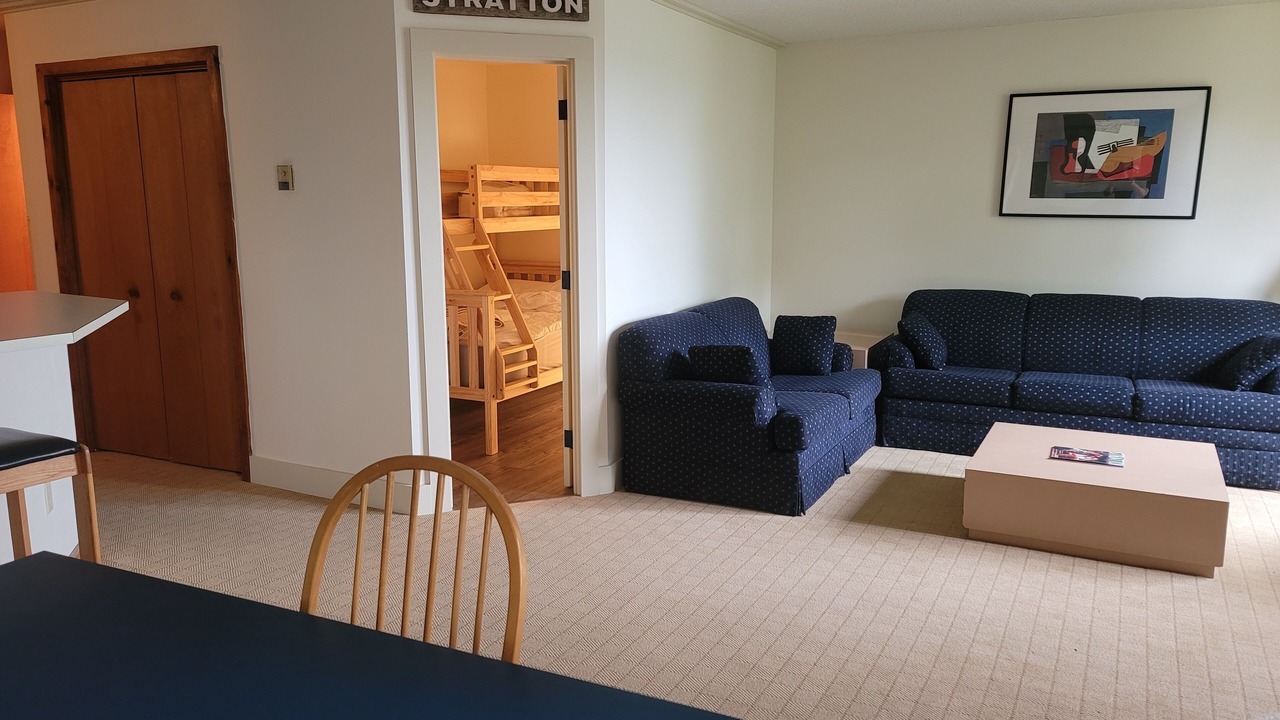 Photo of Livingroom in Stratton Mountain
