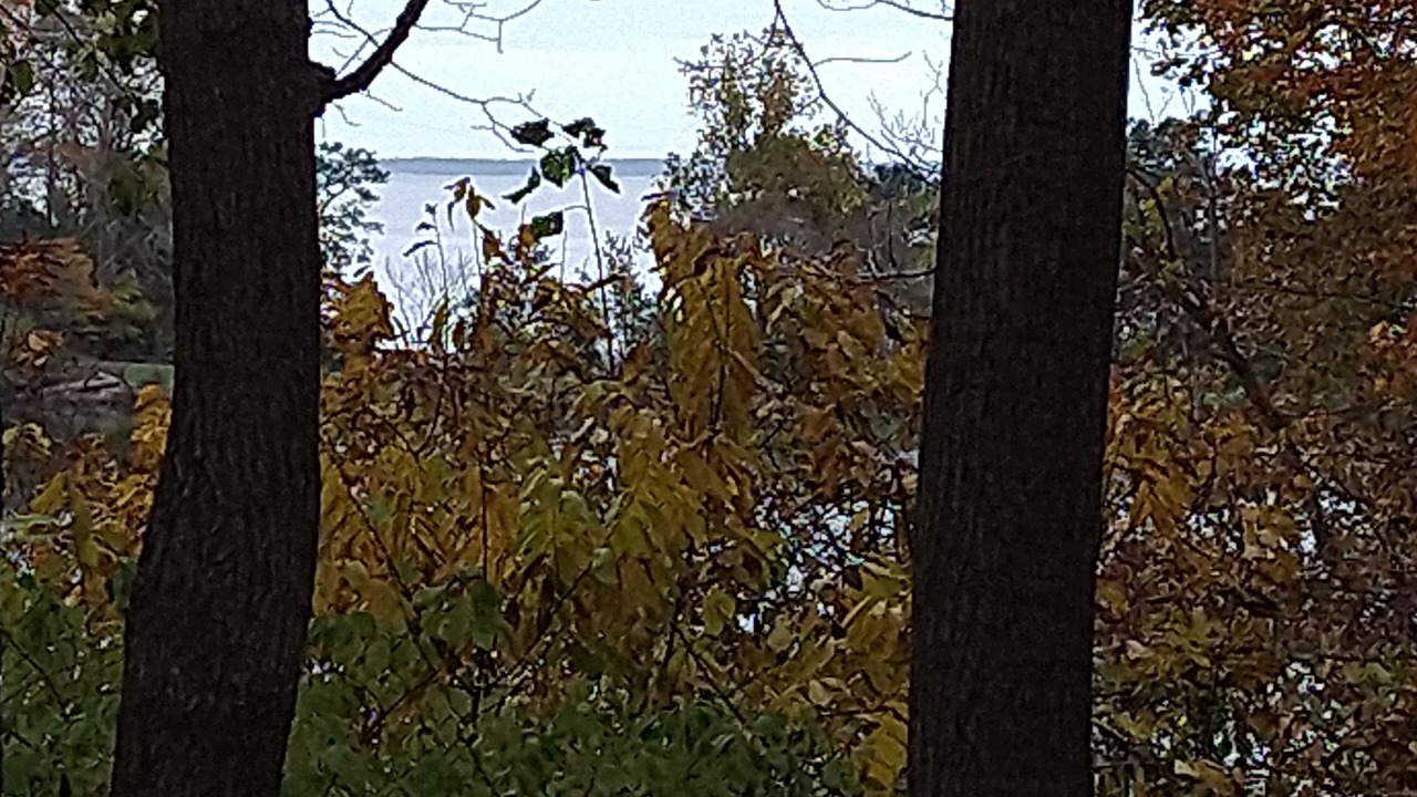 Photo of Outdoor in Kingsmill