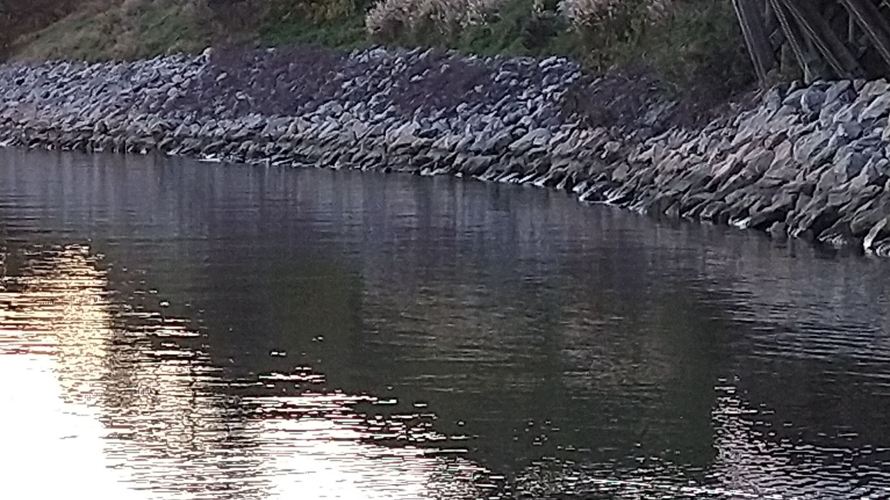 Photo of Others in Kingsmill