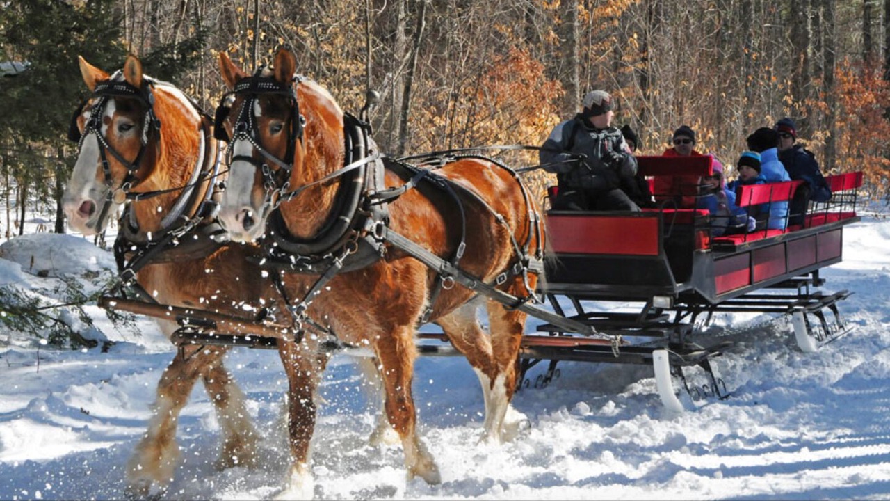 Photo of Others in Center Ossipee