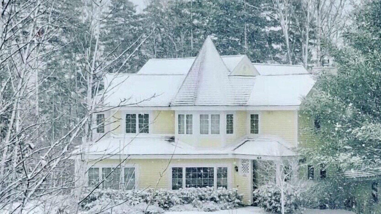 Photo of Others in West Dover
