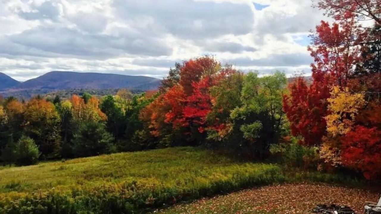 Photo of Outdoor in Prattsville