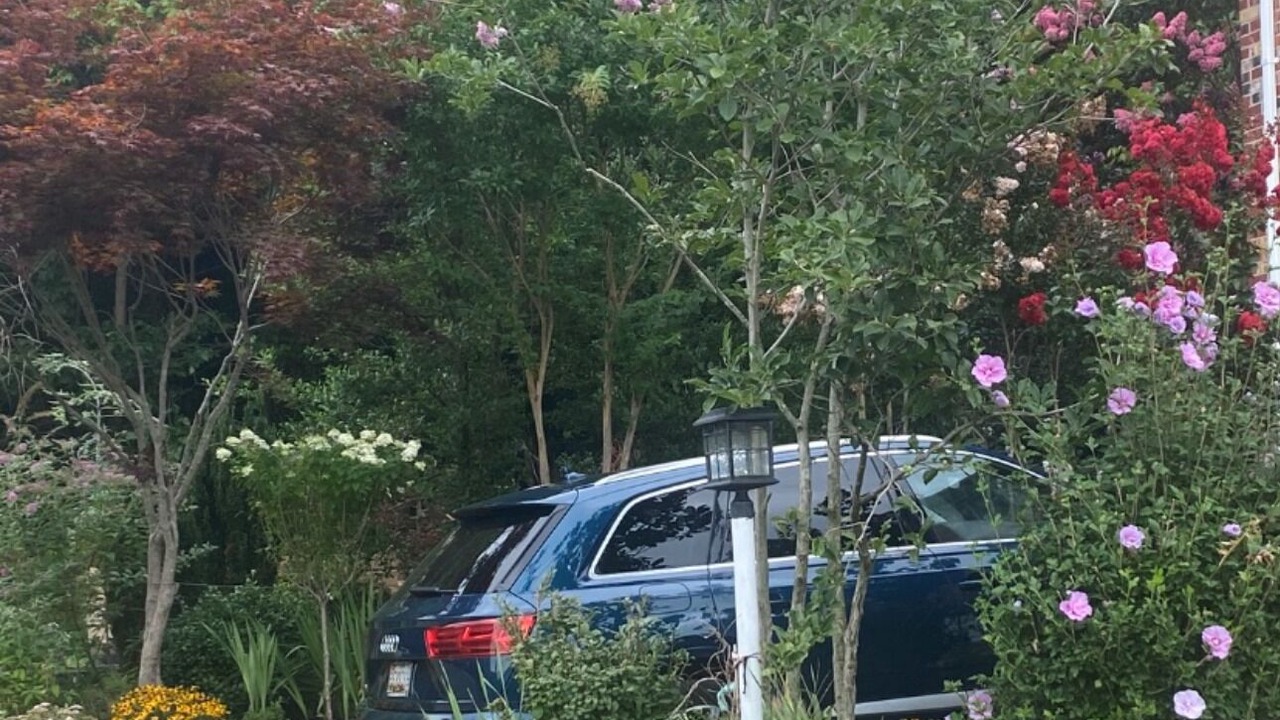 Photo of Outdoor in Bolivar