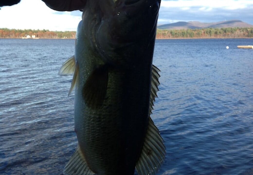 Photo of Others in Fryeburg