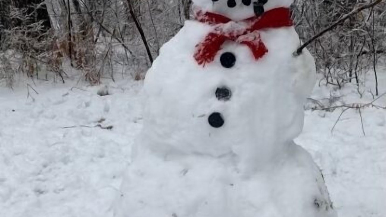 Photo of Others in Fryeburg