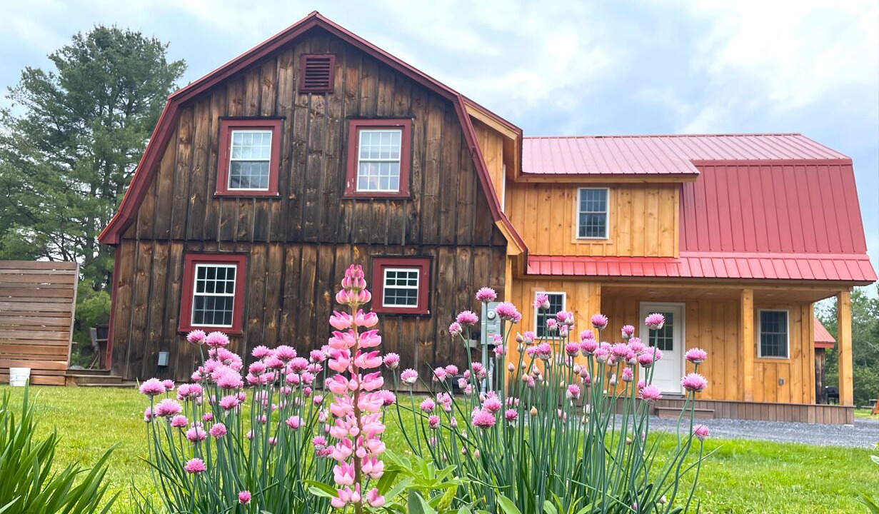 Photo of Outdoor in East Burke