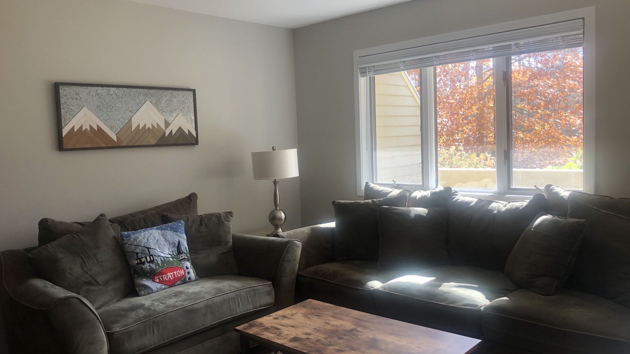 Photo of Livingroom in Stratton Mountain