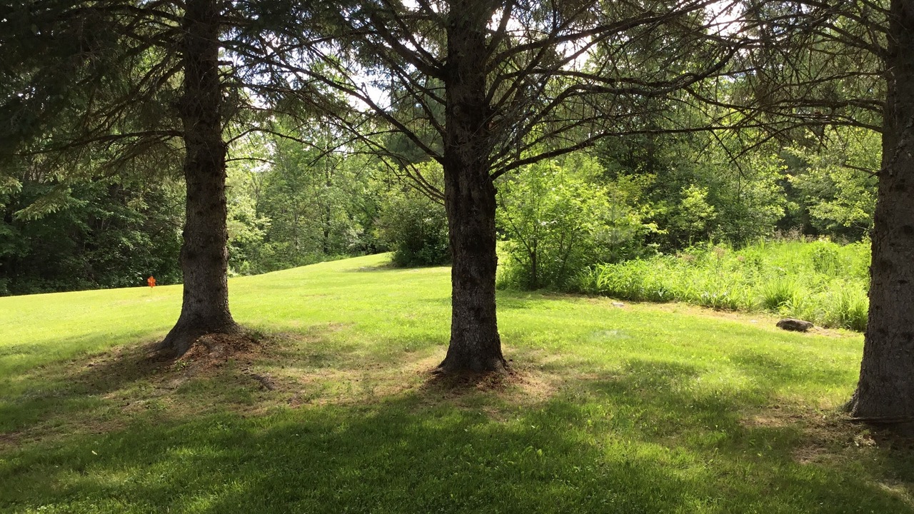 Photo of Outdoor in Whitefield
