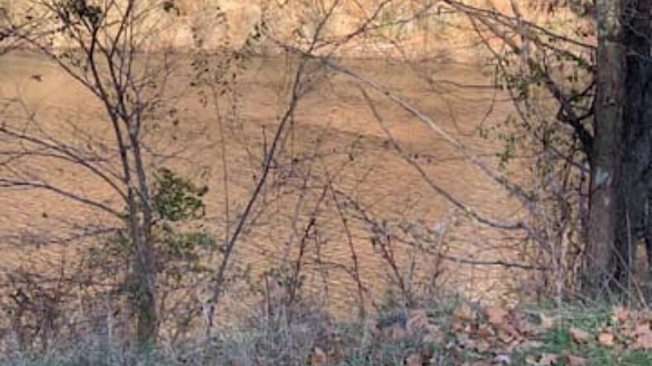 Photo of Outdoor in Upper Tract