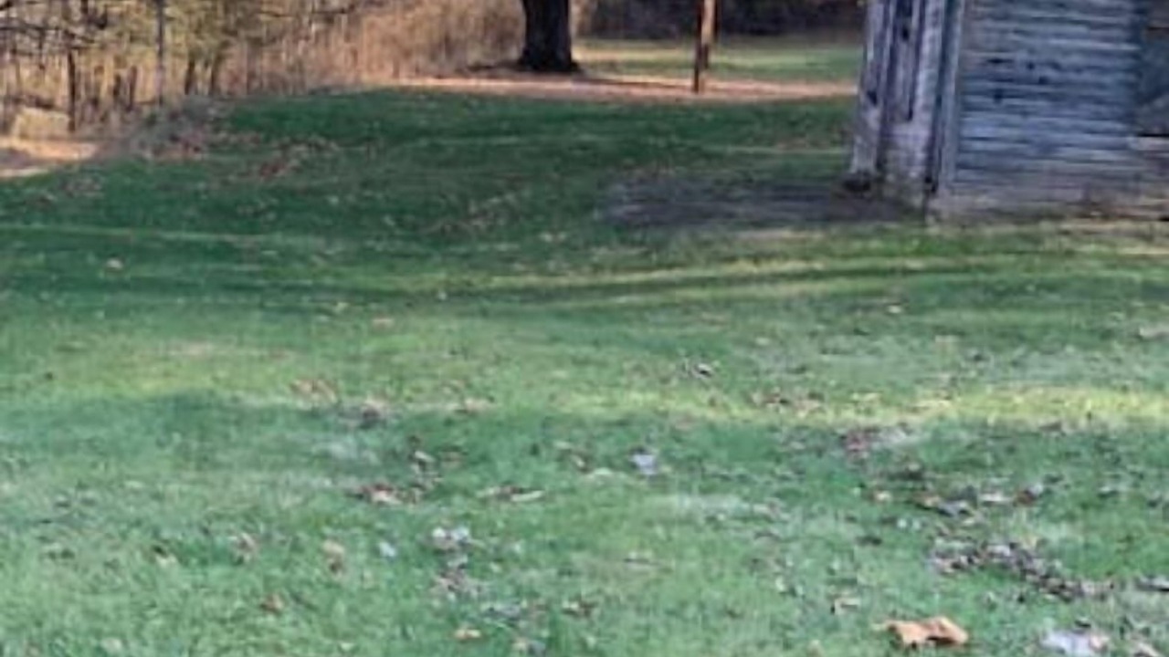 Photo of Outdoor in Upper Tract