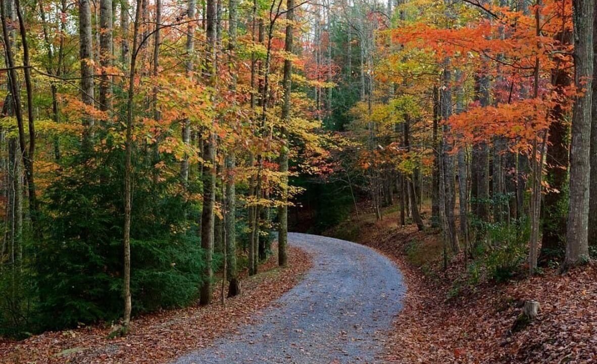 Photo of Outdoor in Lost River