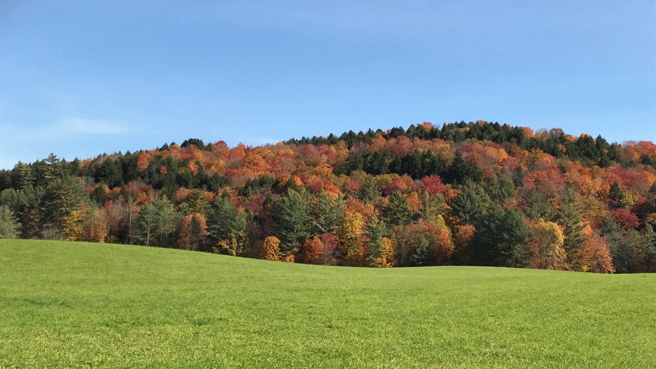 Photo of Others in Stowe Area