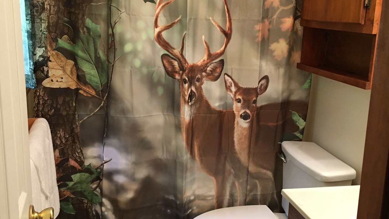 Photo of Bathroom in Marion
