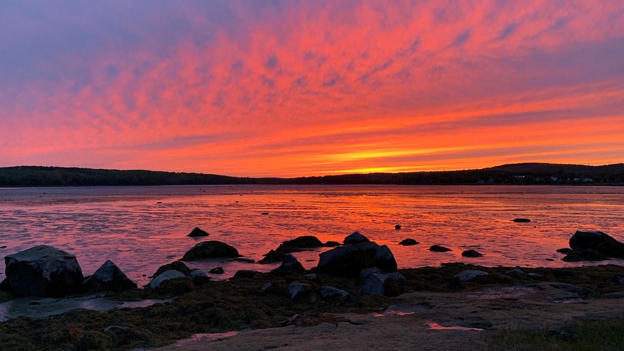 Photo of Others in Penobscot