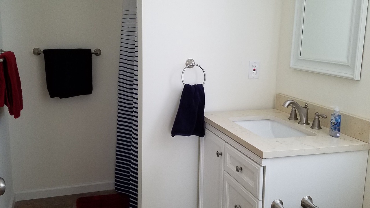 Photo of Bathroom in Otego