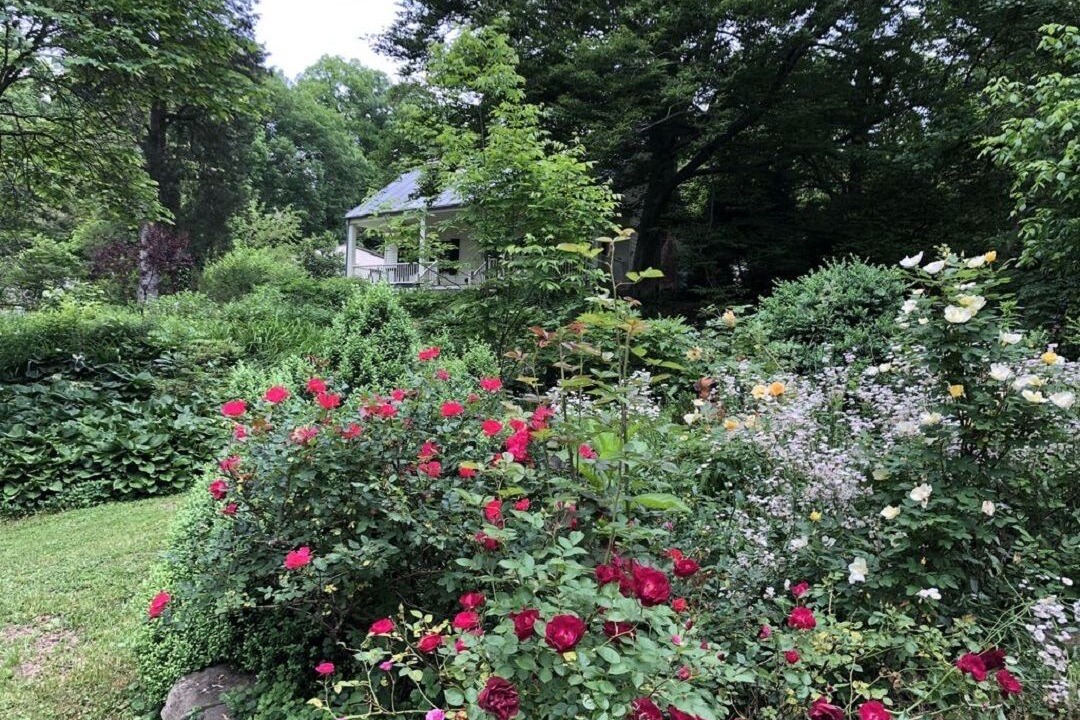 Photo of Outdoor in Sharpsburg