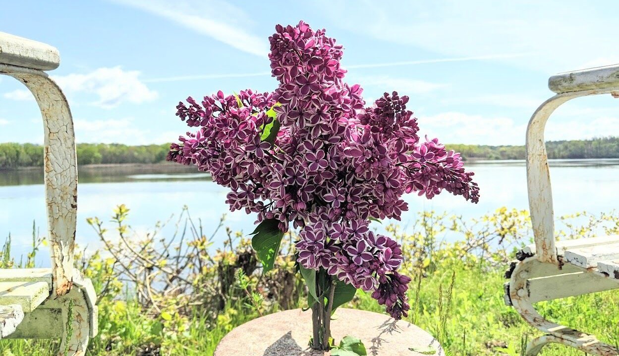 Photo of Outdoor in Coxsackie
