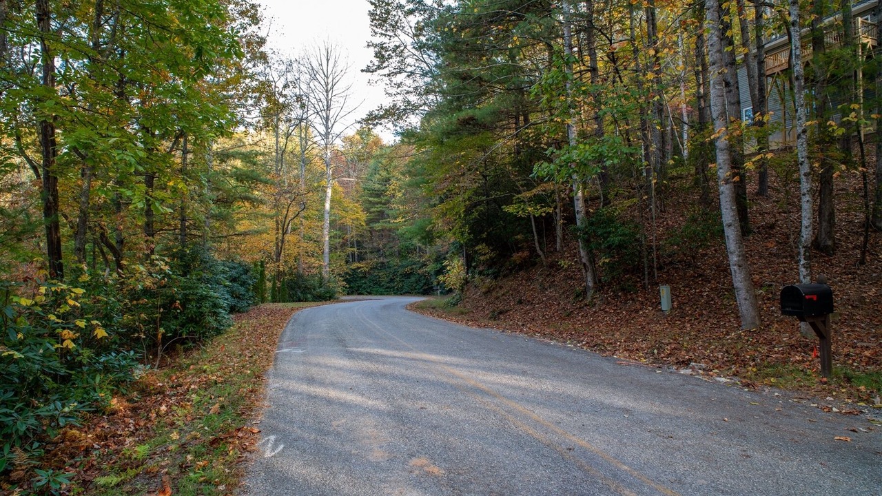 Photo of Others in Pisgah Forest