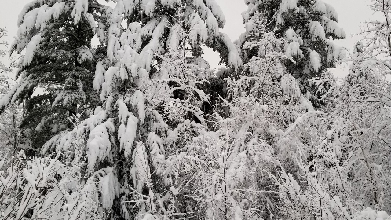 Photo of Outdoor in Bethel