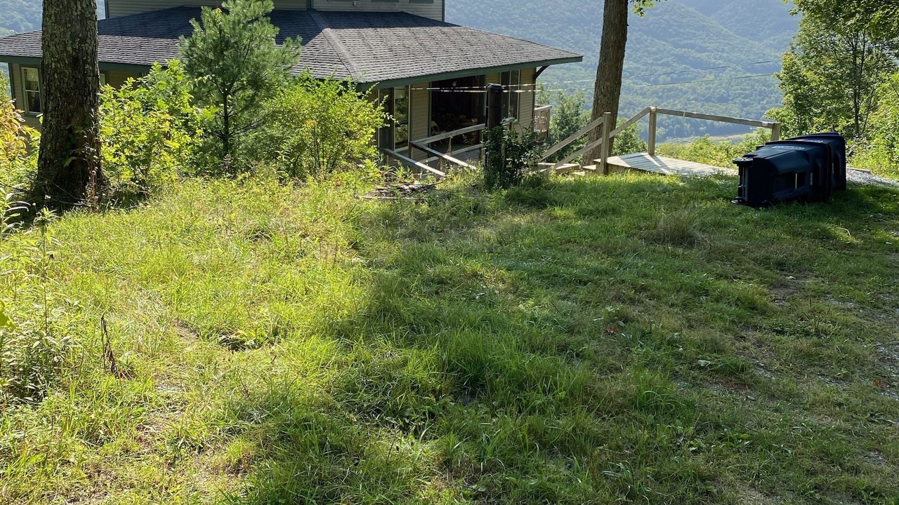 Photo of Outdoor in Dorset