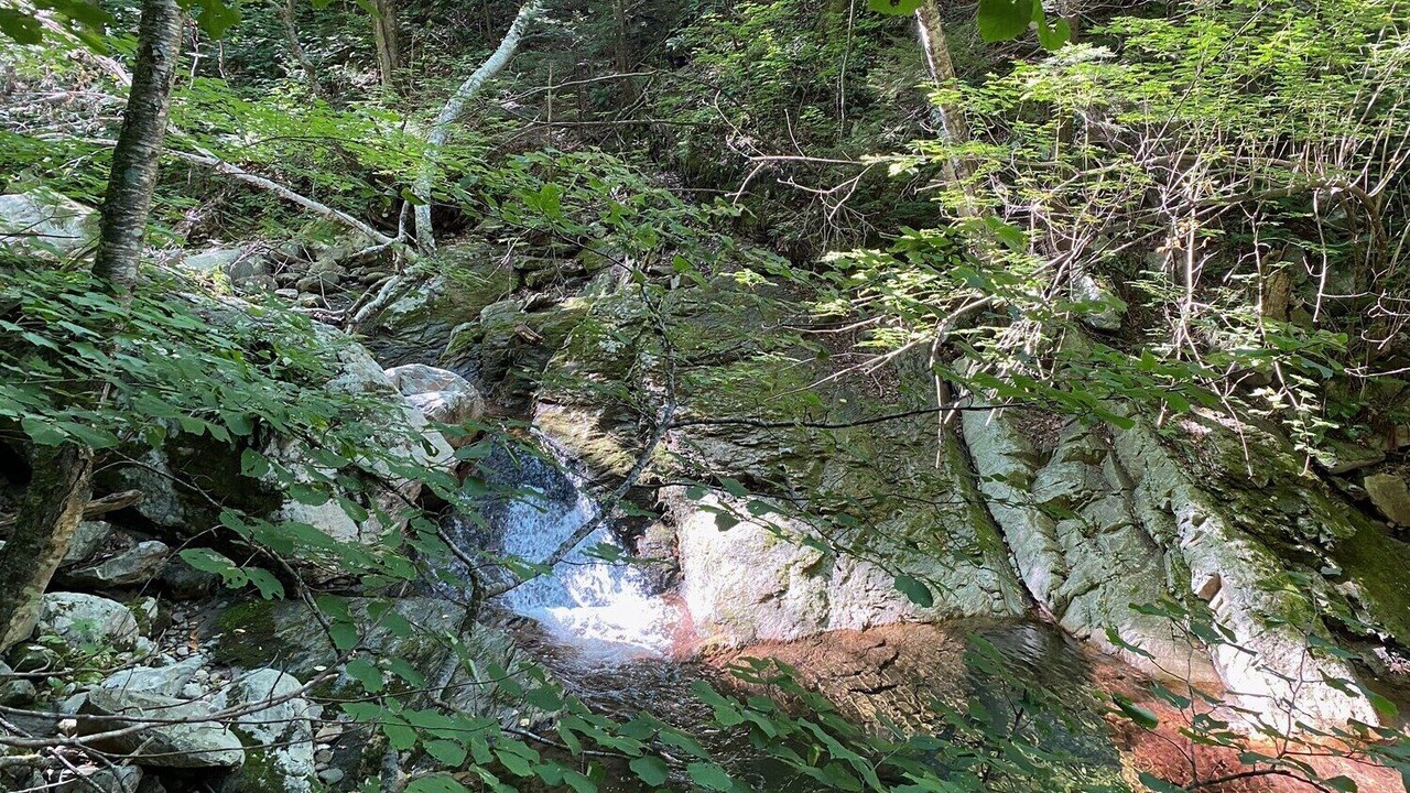 Photo of Outdoor in Dorset