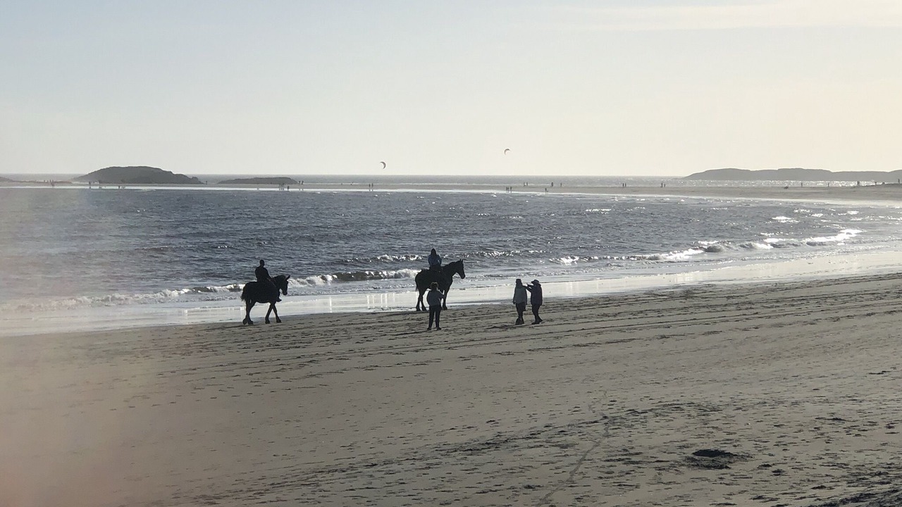 Photo of Others in Phippsburg