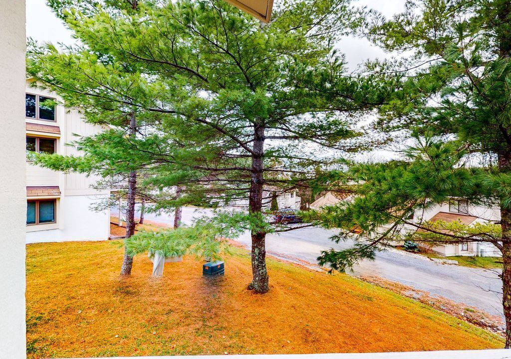 Photo of Outdoor in Bromley Mountain