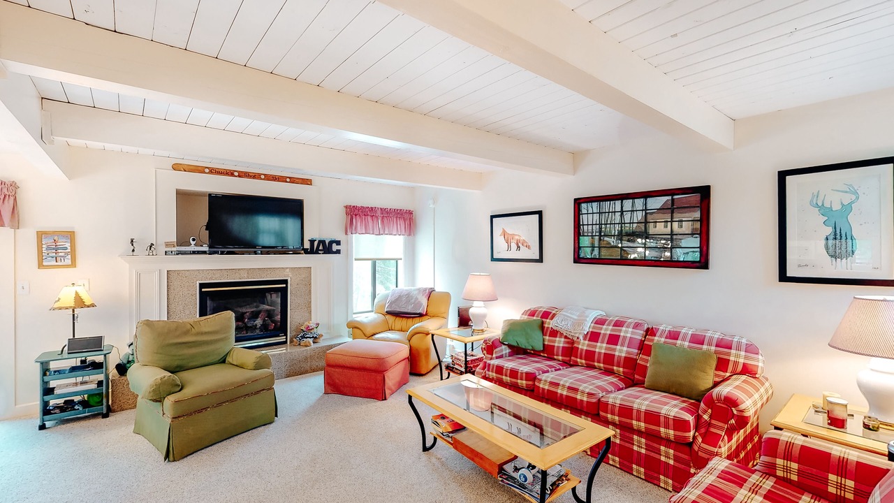 Photo of Livingroom in Bromley Mountain