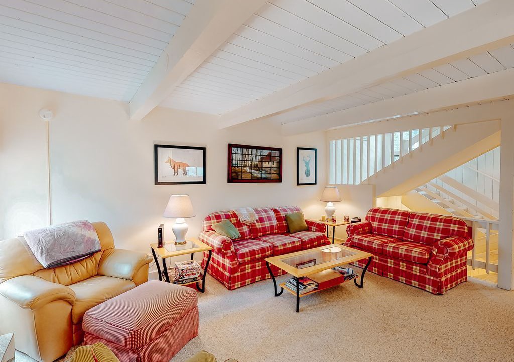 Photo of Livingroom in Bromley Mountain