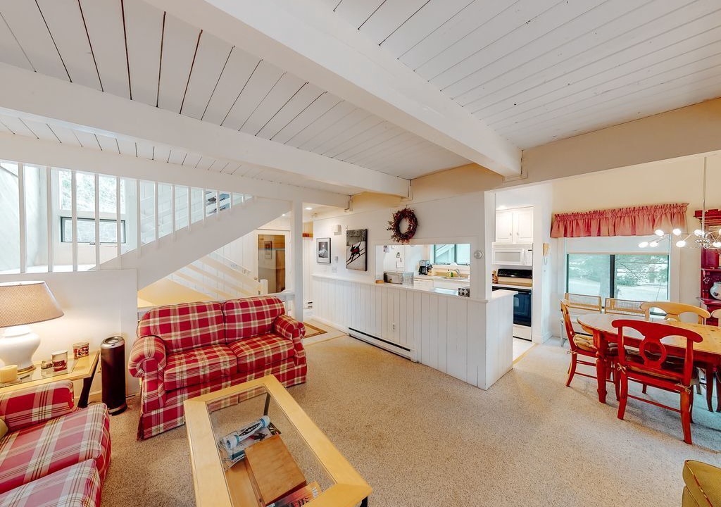 Photo of Livingroom in Bromley Mountain