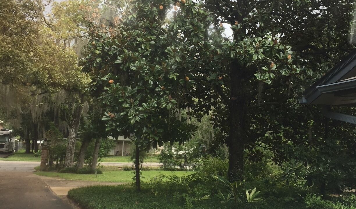 Photo of Outdoor in Barker