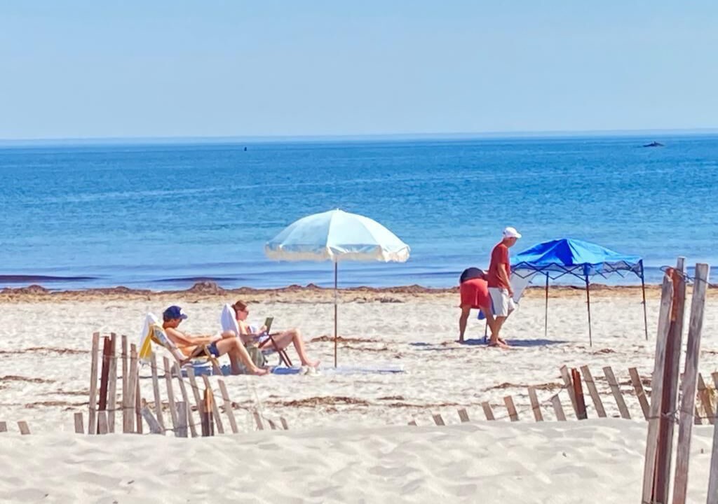 Photo of Others in Cohasset