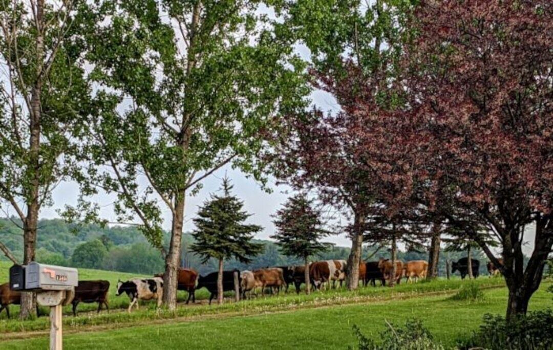 Photo of Outdoor in Laurens