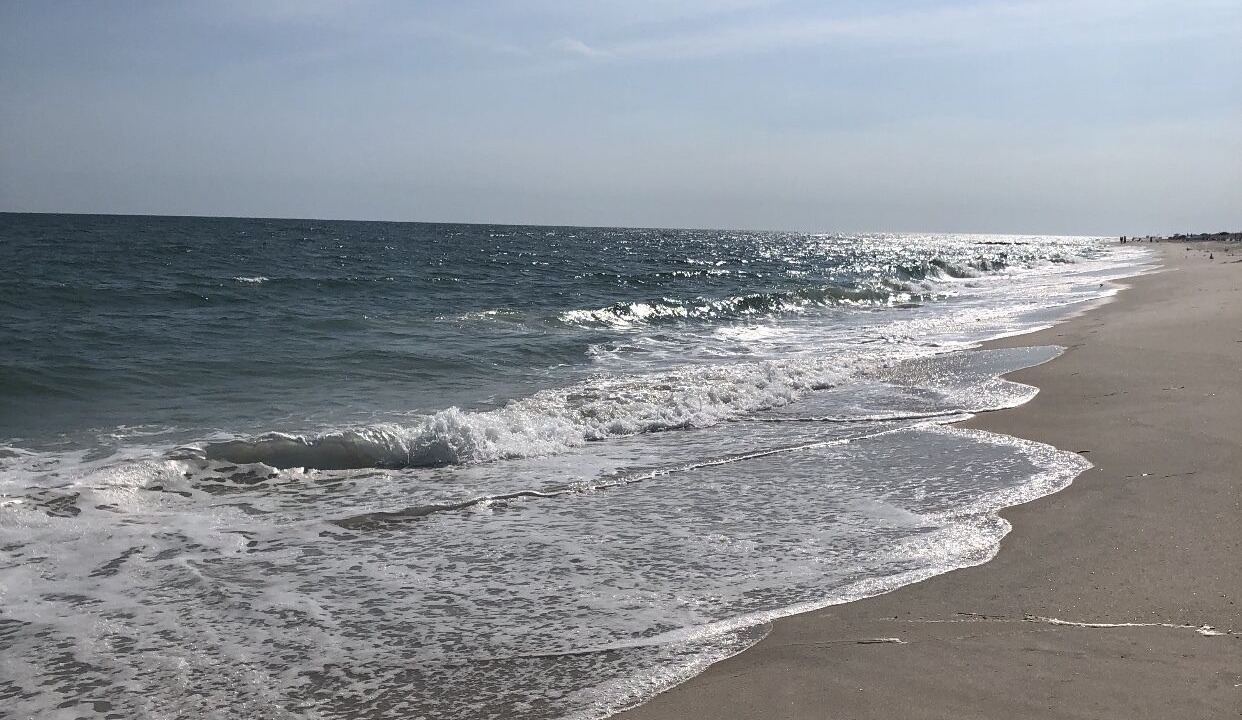 Photo of Others in Westhampton Beach