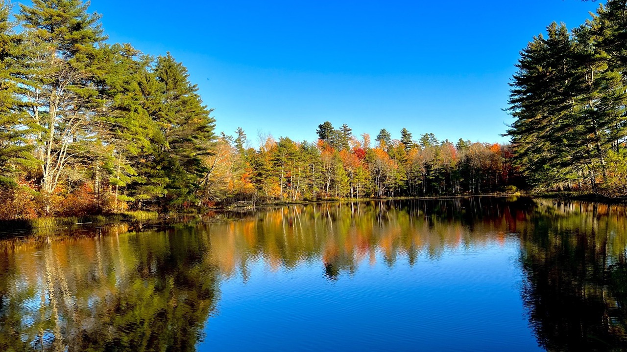 Photo of Outdoor in Barnstead