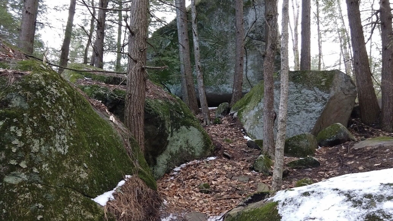 Photo of Outdoor in Barnstead